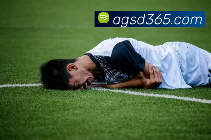 多媒体互动体验